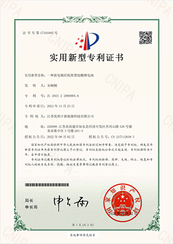 一种新电极结构智慧饮酸锂电池